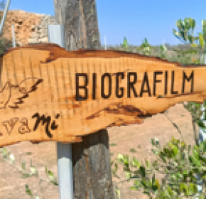 Biografilm giardino aziendale 5 Piccola