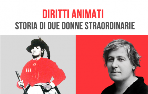 Schermata 2025 06 03 alle 11.37.32 Schermata 2025 06 03 alle 11.37.32