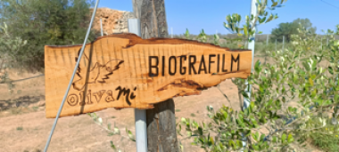 Biografilm giardino aziendale 5 Piccola